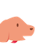 イヌ